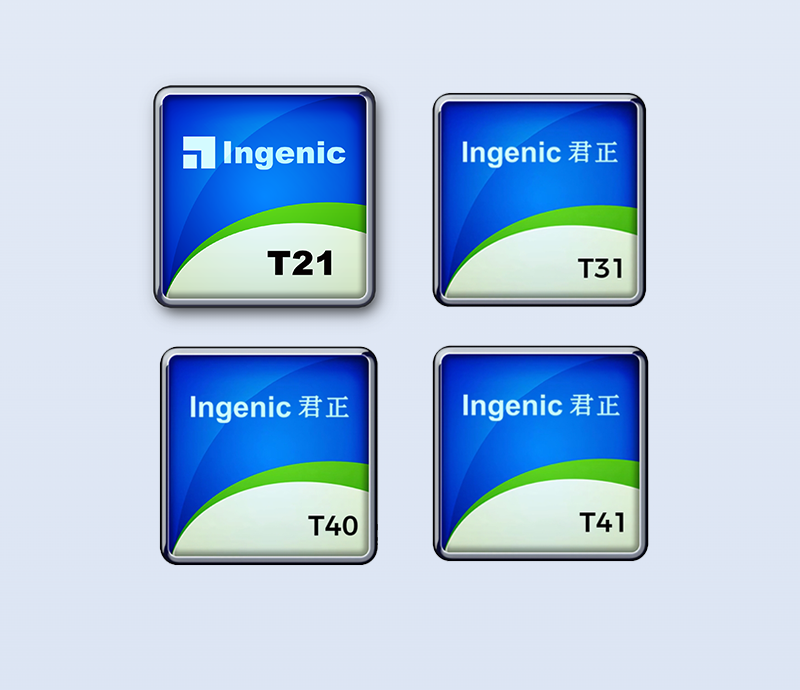 Ingenic T21 has been discontinued, and Ingenic has launched T31/T40/T41